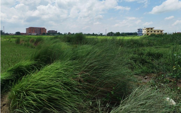 Khudabagar  Rupandehi